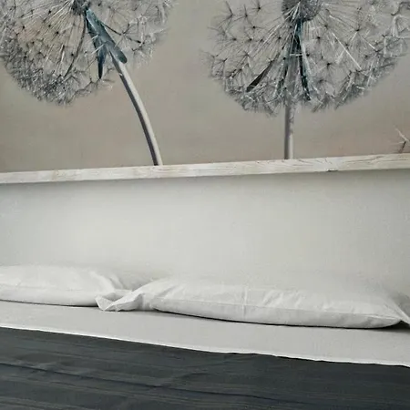 شقة فندقية Ancora أكيارولي