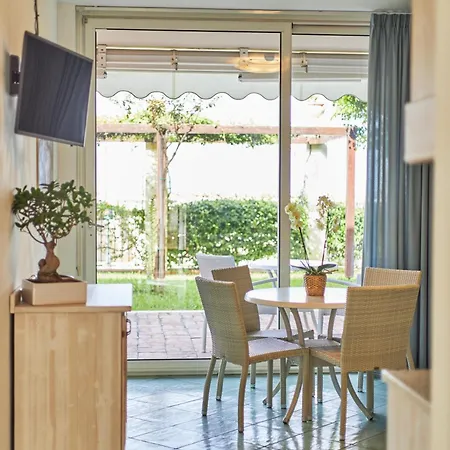 Ancora 아시아롤리